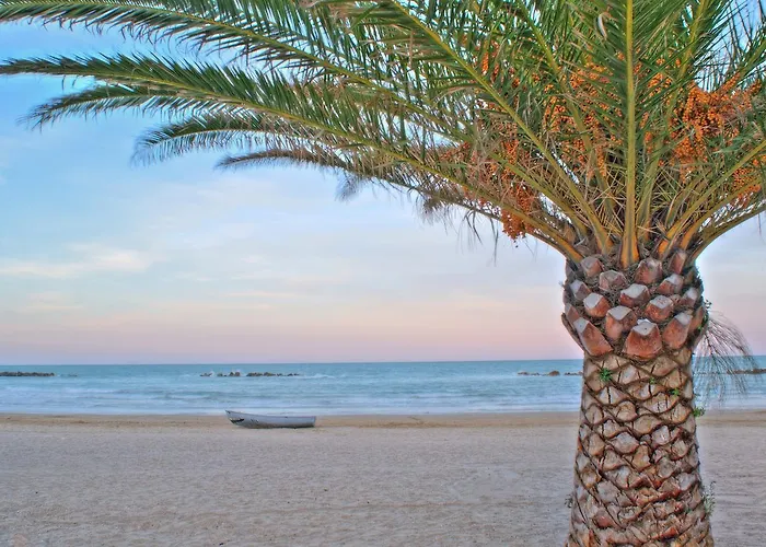 Hotel Sylvia Grottammare